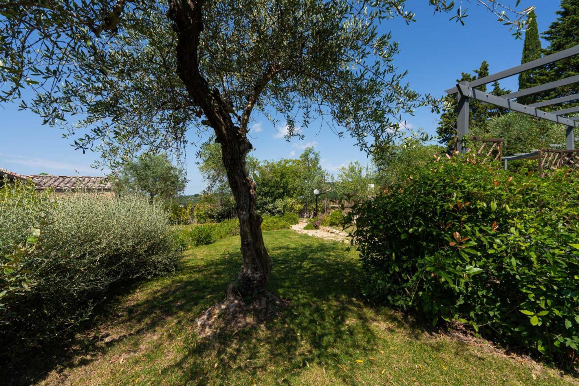 Апартаменти Casa Alta Греве-ін-К'янті Екстер'єр фото